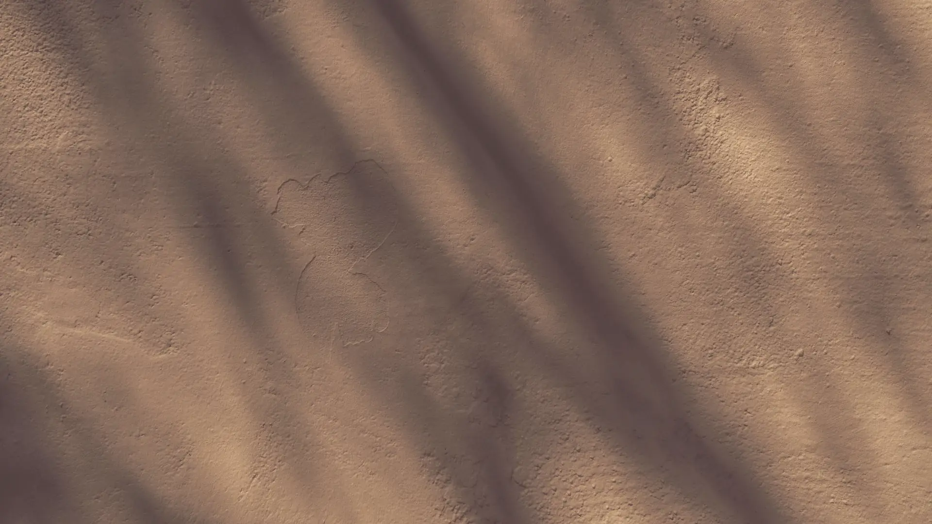 Soft shadows on a calm, neutral beige wall